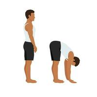 Man doing standing toe reach stretch exercise. vector