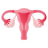 menstruación hembra reproductivo sistema, matriz y útero, ovarios, vagina. menstrual período productos, hembra anatómico naturaleza. femenino higiene durante el menstrual ciclo. mujer salud, pms vector