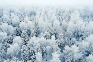 AI generated Aerial view of the forest at winter. The trees are covered with snow. Beautiful nature. photo