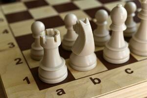 Beautiful chess pieces on the board. The chessboard. Chess competitions. photo