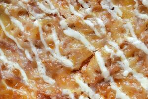 A piece of meat pizza. Pizza with meat, cheese and mayonnaise. photo