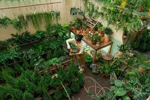 Portrait of Asian woman working in a plant shop photo