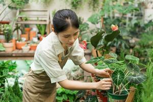 Portrait of Asian woman working in a plant shop photo
