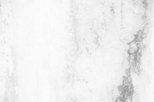 White Mould and Fungus on Plaster Wall Background. photo