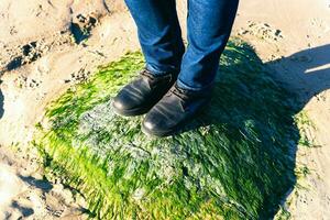 mujer pies en botas y azul pantalones en pie en Roca cubierto con verde algas foto