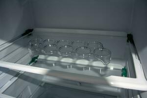 New Refrigerator with Empty Shelves and Plastic Egg Tray Stand photo