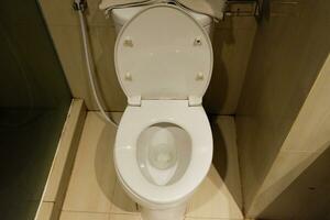 a sitting toilet in the bathroom that is often used for defecation photo