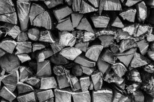 Photography on theme big wall of stacked oak tree logs in cracks photo