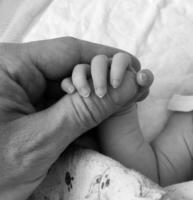 Photography on theme father holding his newborn baby tightly by hand in maternity hospital photo