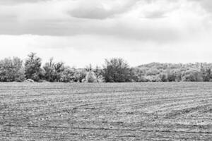 fotografía sobre el tema gran campo agrícola vacío para la cosecha orgánica foto