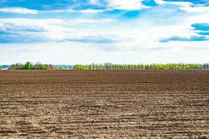 Photography on theme big empty farm field for organic harvest photo