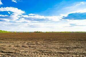 fotografía sobre el tema gran campo agrícola vacío para la cosecha orgánica foto