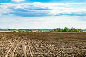 Photography on theme big empty farm field for organic harvest photo