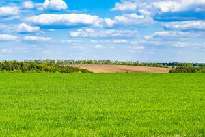 Beautiful horizon scenery in village meadow on color natural background photo