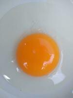 Raw eggs, top view of one raw eggs yolk in bowl on isolated white background. photo