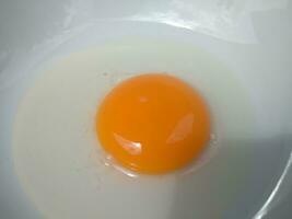 Raw eggs, top view of one raw eggs yolk in bowl on isolated white background. photo