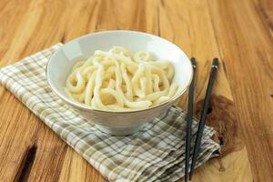 Japanese Udon Noodles on White Bowl photo