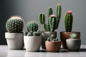 AI generated cactus in pots photo