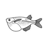 Hand drawn Cartoon Vector illustration hatchetfish icon Isolated on White Background