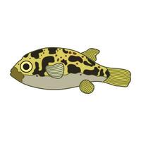 Cartoon Vector illustration pea puffer fish icon Isolated on White Background