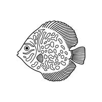 Hand drawn Cartoon Vector illustration discus fish icon Isolated on White Background