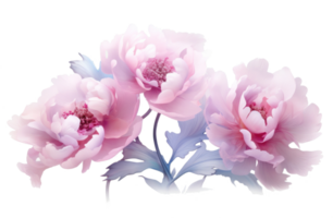 ai généré pivoines dans printemps sur une transparent Contexte png