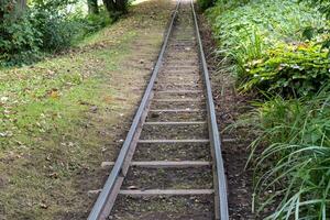 small railway in the woods photo