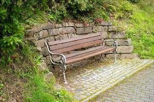 bench in the park photo