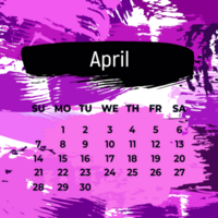 Page for April 2024 year. Square calendar planner for a month. Purple background. Design template for layout png