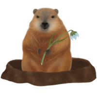 Groundhog Day, perfect for celebrating both winter and the impending arrival of spring. Ready to predict the seasons with charm, whether amidst the cold or as the leaves begin to flourish. png