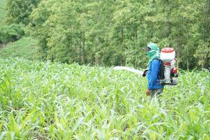 Asian man farmer carry fertilizer sprayer machine on back, stand at garden. Concept, farmer use engine facilitator tool in agriculture. Easy and fast for sowing photo