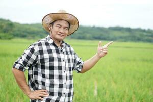 hermoso asiático hombre granjero es a arrozal campo, usa sombrero y tartán camisa, poner sombrero en cintura, punto dedo arriba. concepto, agricultura ocupación. tailandés agricultor. trabajando con naturaleza. orgánico agricultura. foto