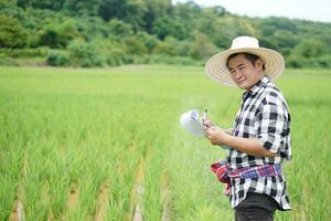 Asian man farmer inspects growth and diseases of plants at paddy field, wears hat, plaid shirt, holds paper clipboard. Concept, agriculture study or research to solve problems or develope crops. photo