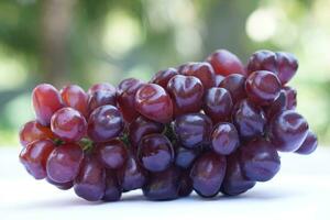 Bunch of fresh seedless red grapes, fruits , outdoor background. Concept, Healthy eating. Agricultural crops. photo