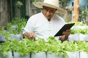 Asian man gardener is checking and inspecting quality, growth and plant diseases of organic salad vegetables by using smart tablet. Concept, Agriculture research. Learn from internet to develop crops. photo