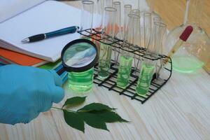 Close up student hand hold magnifying glass to explore green leaf in science experiment class. Concept, science subject, project work. Experiment, education, learning by doing approach. Science lesson photo