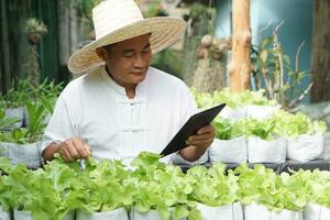 Asian man gardener is checking and inspecting quality, growth and plant diseases of organic salad vegetables by using smart tablet. Concept, Agriculture research. Learn from internet to develop crops. photo