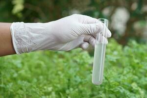 Close up ecologist hand holds test tube with chemical contaminated water in agriculture area. Concept, Inspecting water quality from nature source. Examination water pollution. Environmental problems. photo