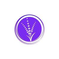 ilustración de icono de vector de flor de lavanda