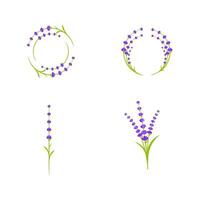 ilustración de icono de vector de flor de lavanda