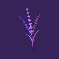 ilustración de icono de vector de flor de lavanda