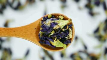 hölzern Löffel mit getrocknet Schmetterling Erbse Blume Blau Tee Blätter. gesund organisch nachhaltig Lebensstil Konzept. schließen oben Schuss, oben Sicht. video