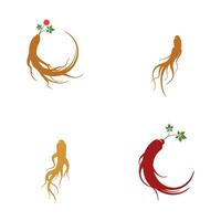 Ginseng vector icon illustration