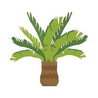 ilustración de palmera vector