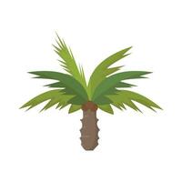 ilustración de palmera vector