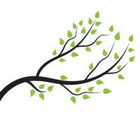 Tree branch vector ilustration design