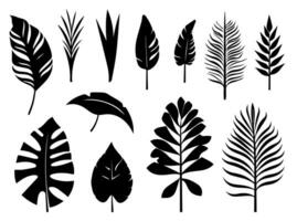 Set of black silhouettes of leaves and flowers. Vector illustration.