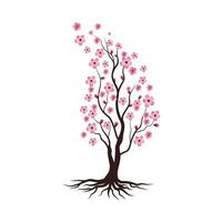 Sakura Beauty flower Vector icon