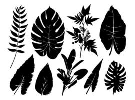 Set of black silhouettes of leaves and flowers. Vector illustration.