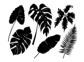 Set of black silhouettes of leaves and flowers. Vector illustration.